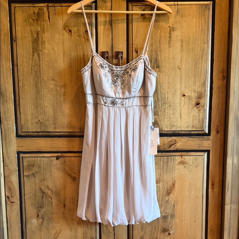 Elegant Silver Embellished Dress